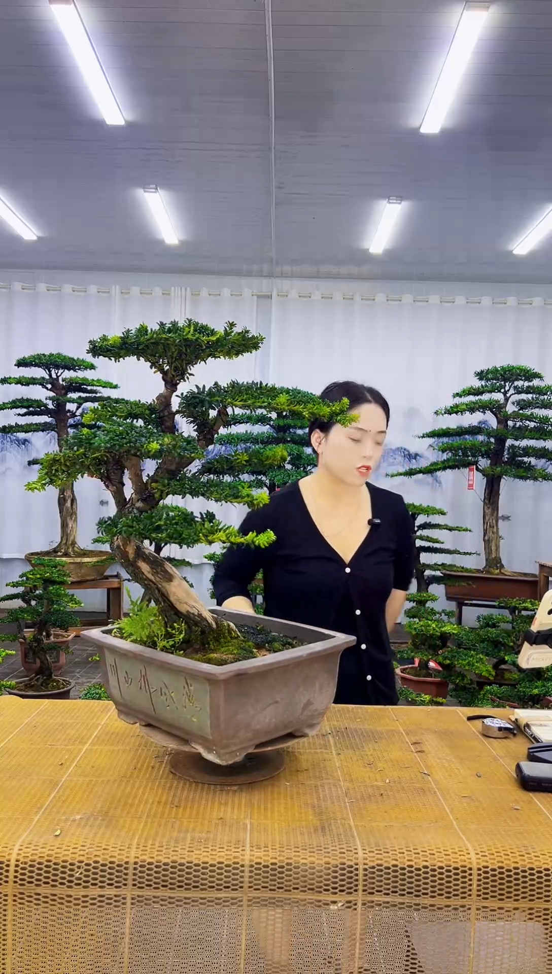 杰*…00000000000000000