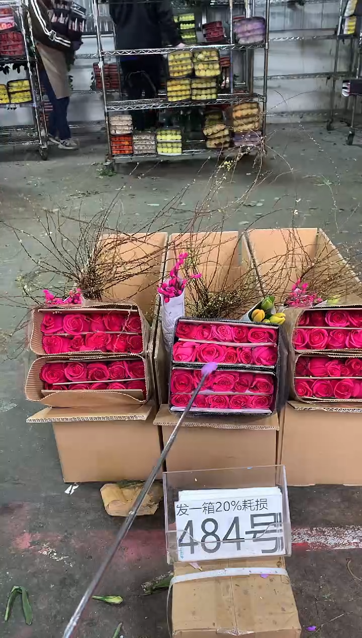 484号♥中通含20%耗损发一箱鲜花