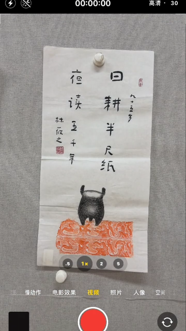 【闪购商品】书法-绘画-林筱之-2平尺精品书法