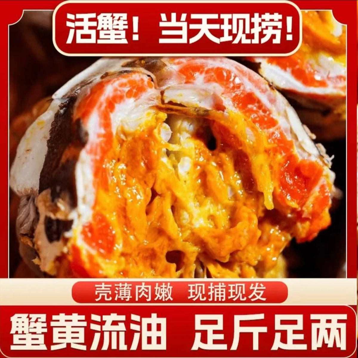 江苏精品大闸蟹  全母蟹3(3.2-2.8)两. 共10只