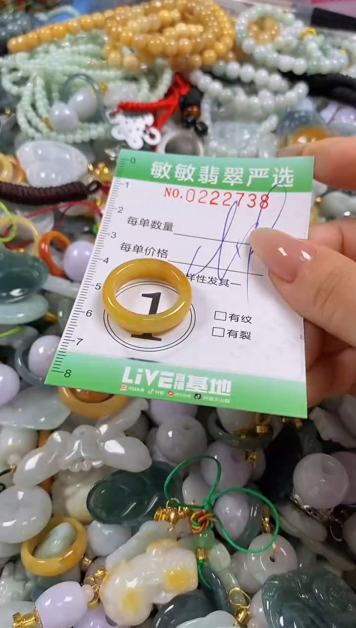 翡翠未镶嵌颈饰闪购0222738