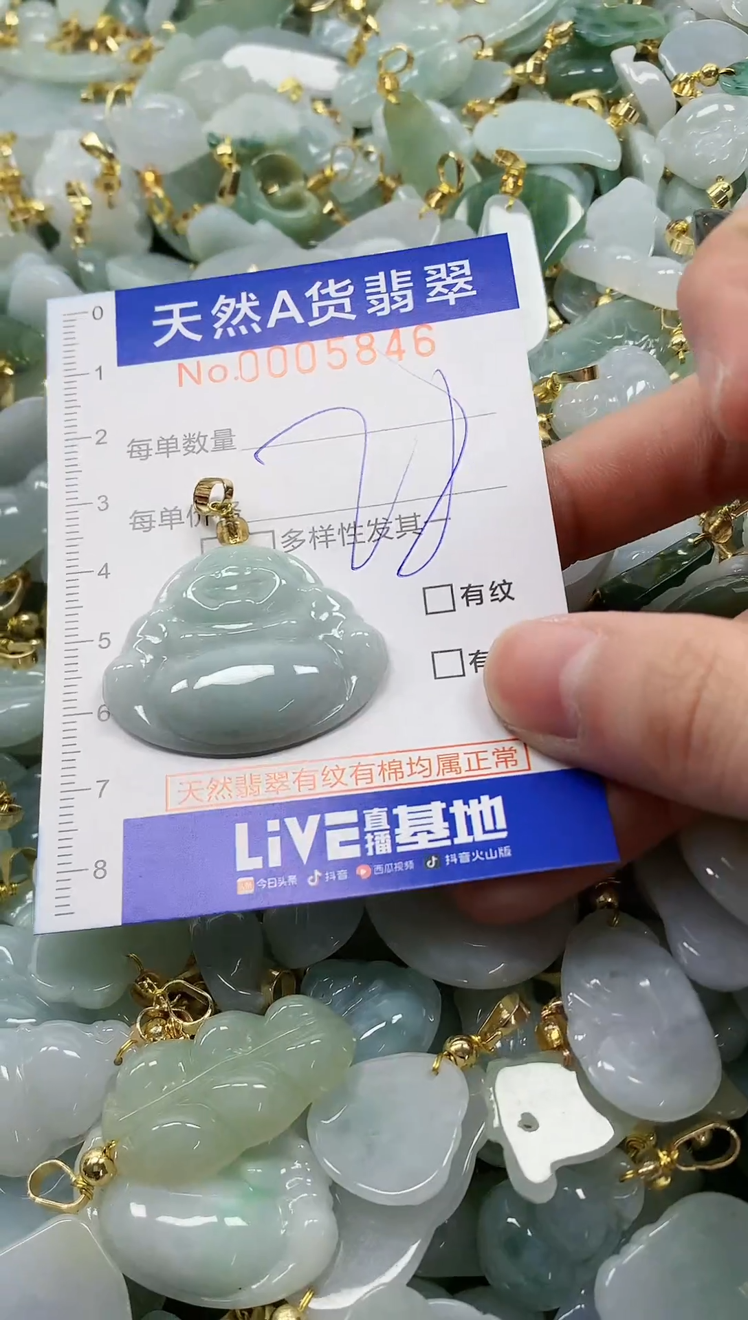 颈饰未镶嵌翡翠纯天然a货翡翠