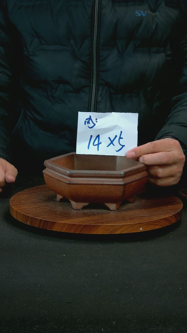 【闪购商品】紫砂R31