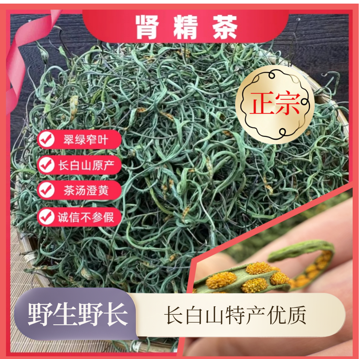 肾精茶东北黄金草长白山正宗嗷嗷叫野生化石草滋补养生高孢子茶叶