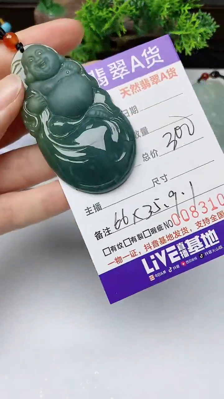 【闪购商品】翡翠颈饰未镶嵌        