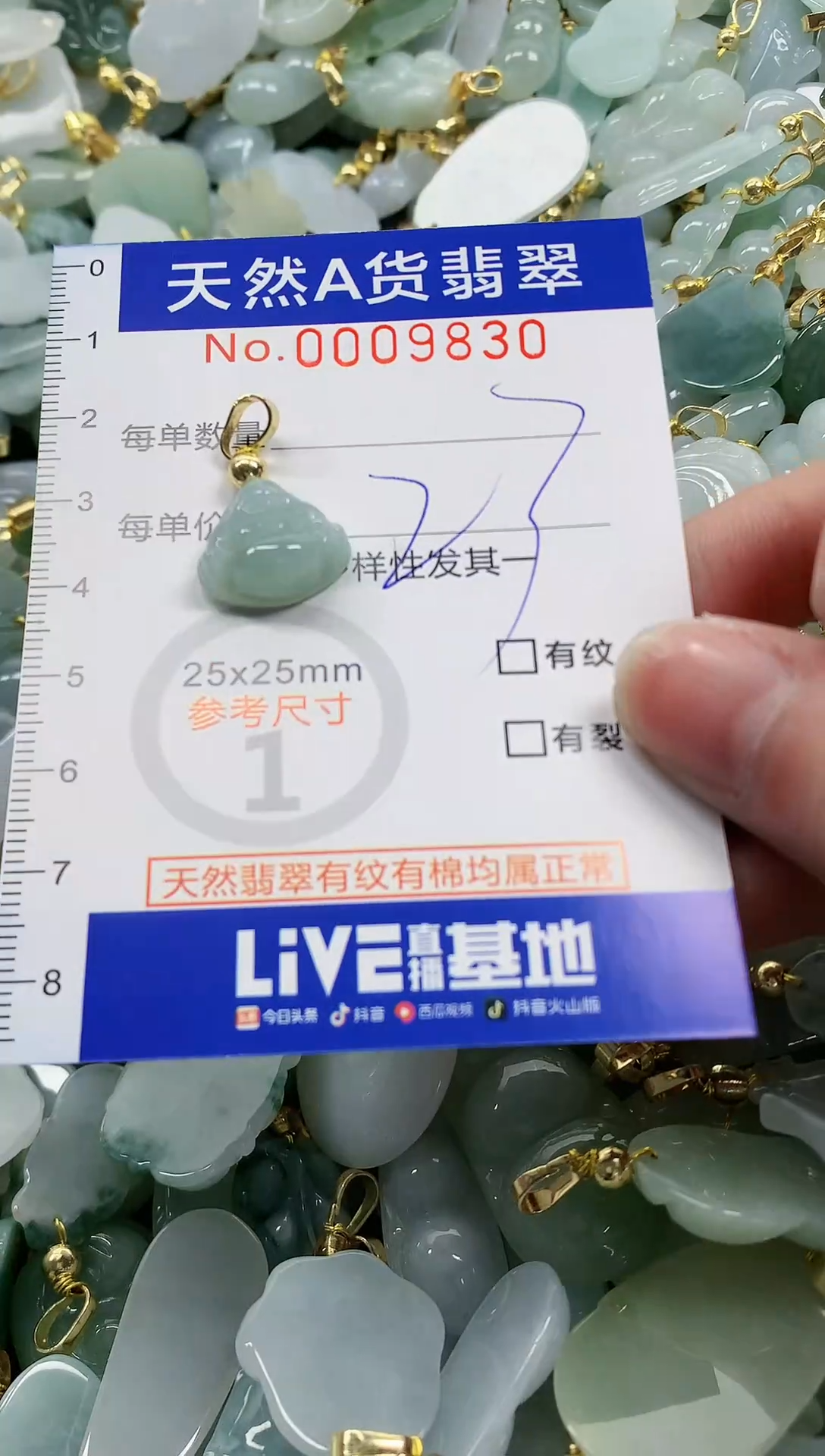 颈饰未镶嵌翡翠纯天然a货翡翠