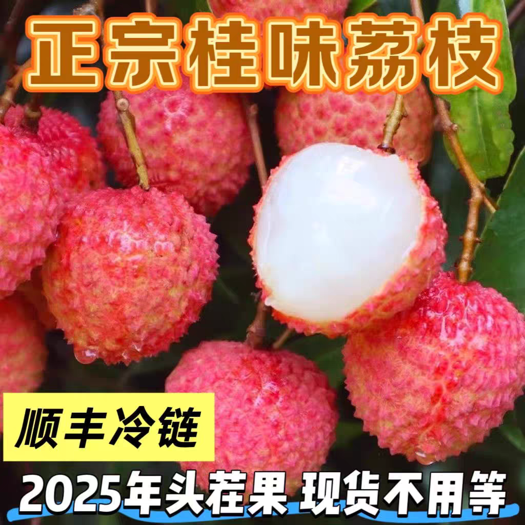【顺丰冷链包邮】桂味荔枝产地直发老树新鲜现摘现发爆甜爽口