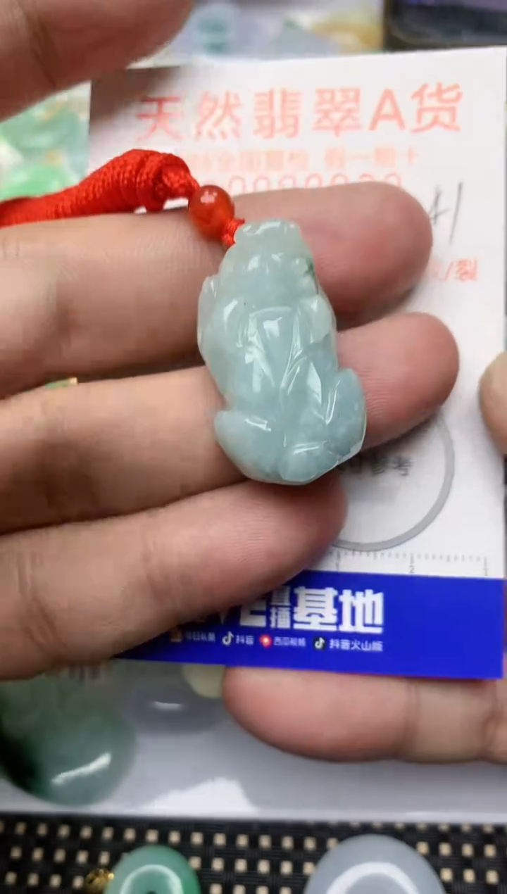 【闪购商品】翡翠颈饰未镶嵌天然A货翡翠