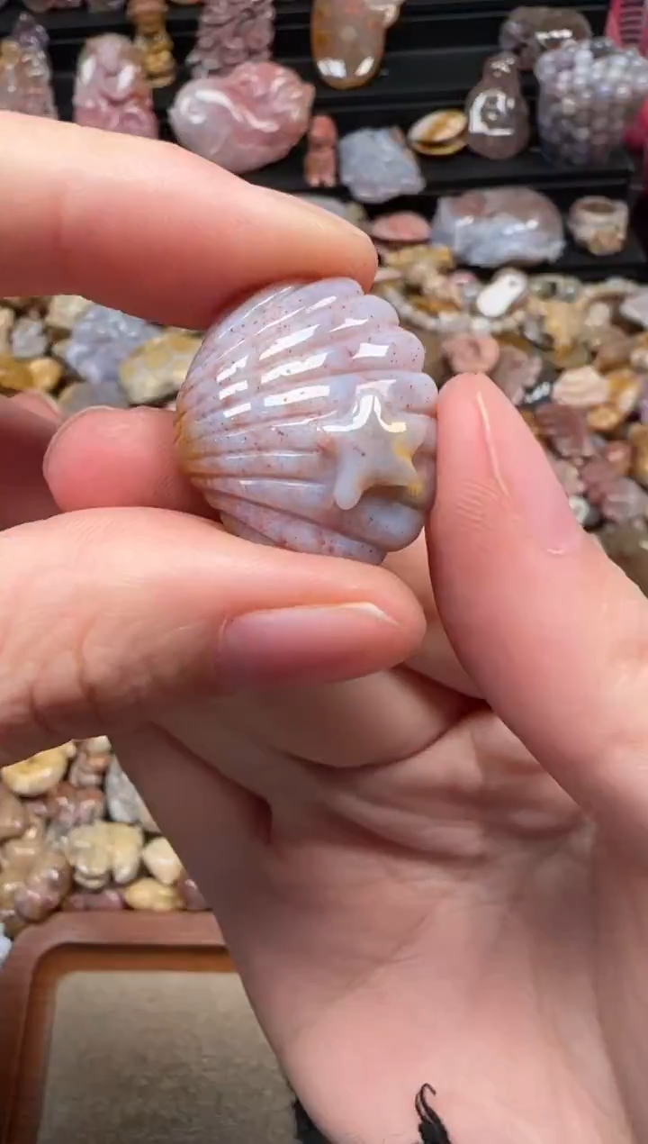 颈饰未镶嵌硅化珊瑚（珊瑚玉）225