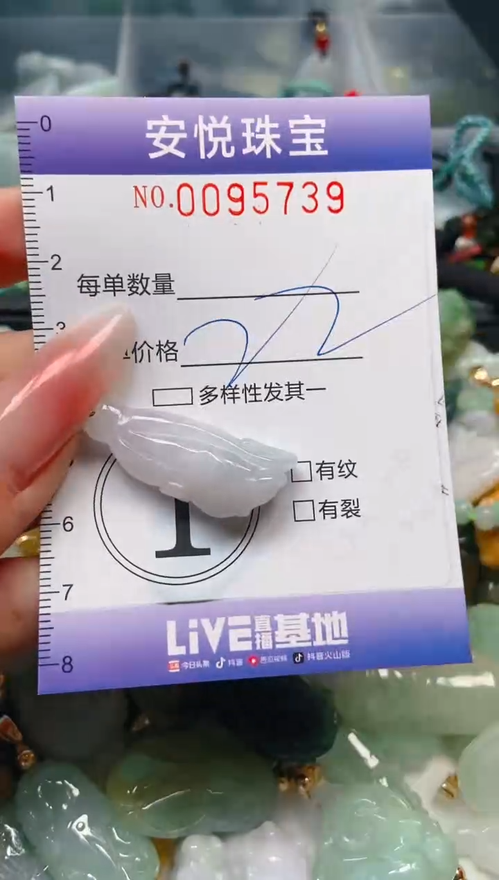 【闪购商品】翡翠颈饰未镶嵌闪购0095739
