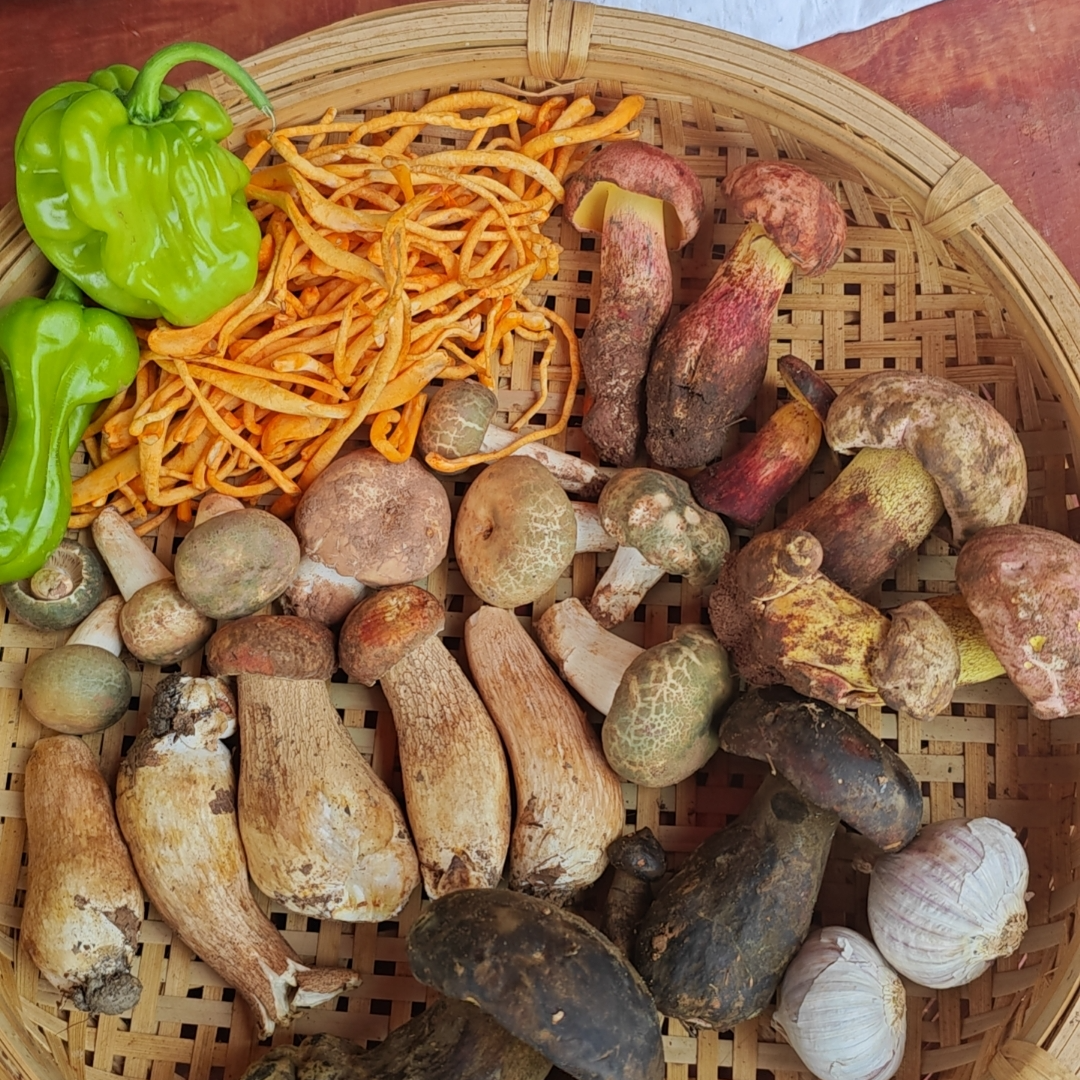 专拍咯，185拼盘野生菌