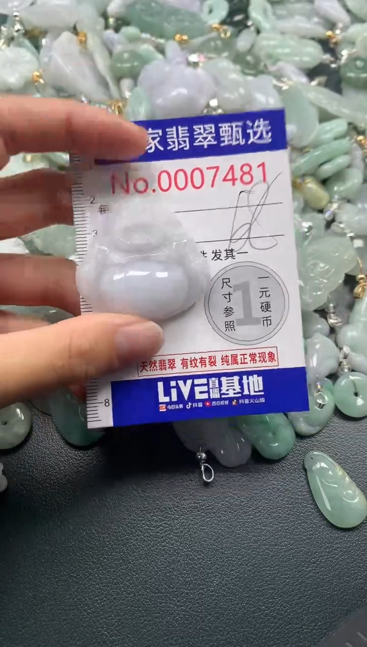 吊坠(不含链)未镶嵌翡翠7481