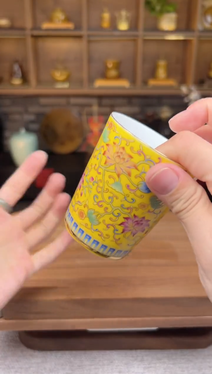 【闪购商品】无尽藏 专属福利单 VVV 