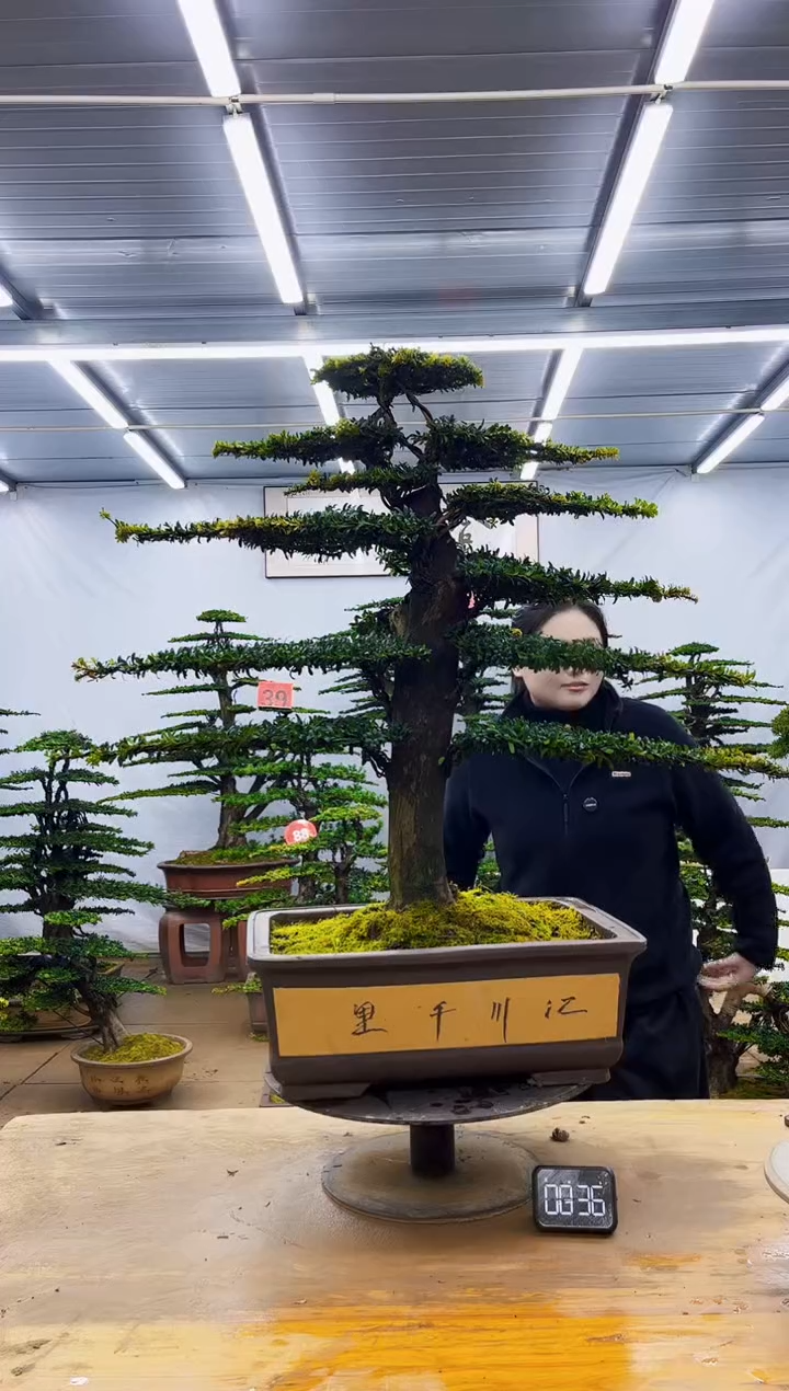 无花朵一物一拍，所见即所得