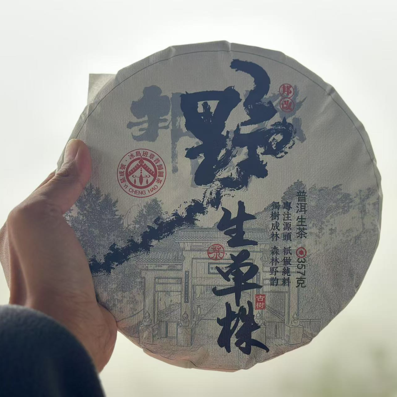 【YE生单株】2025年YE生单株/普洱生茶野蜜香357克饼