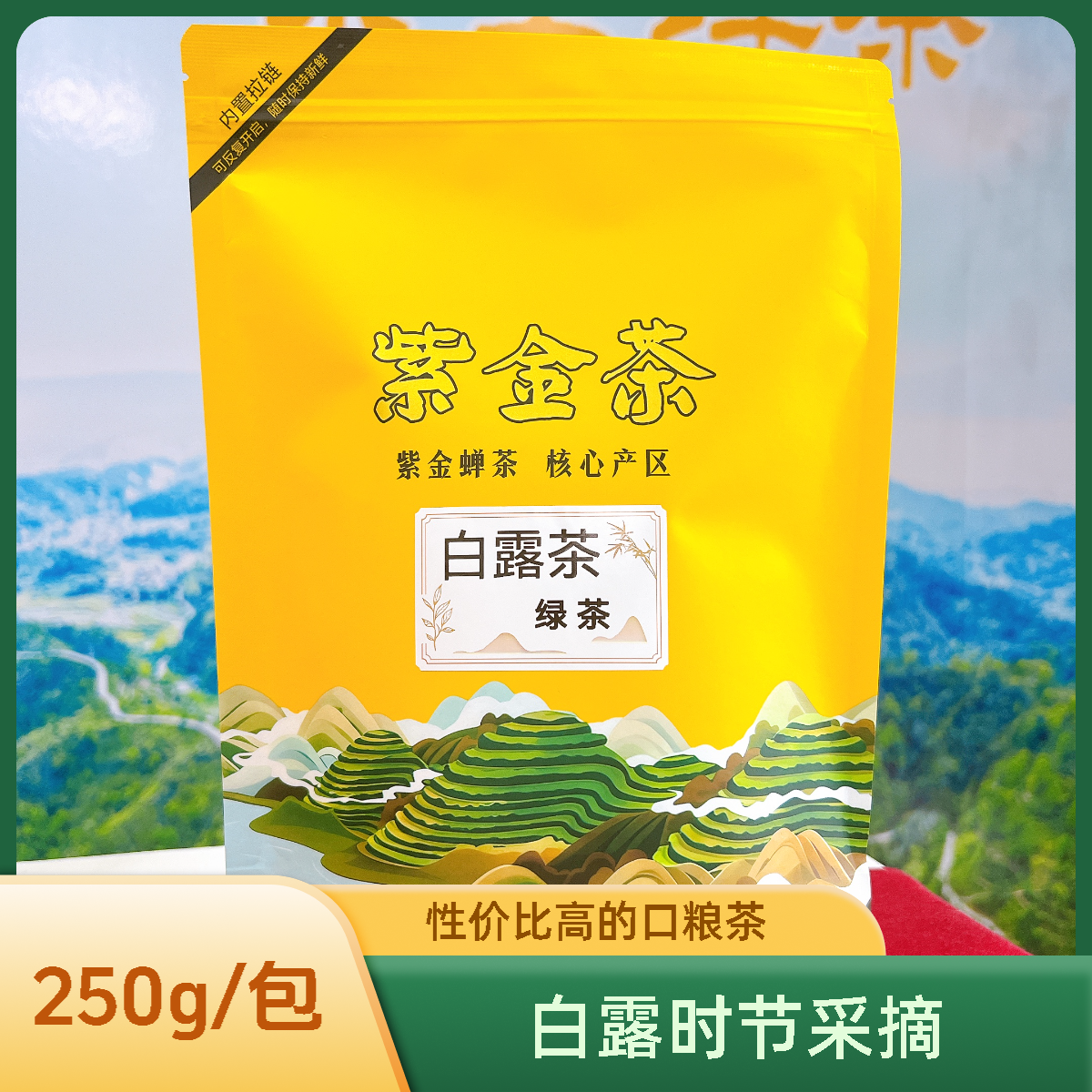新品上市 白露茶 炒米香 高香浓郁 250g