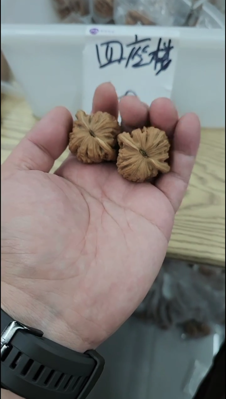 核桃【四座楼】开播福利