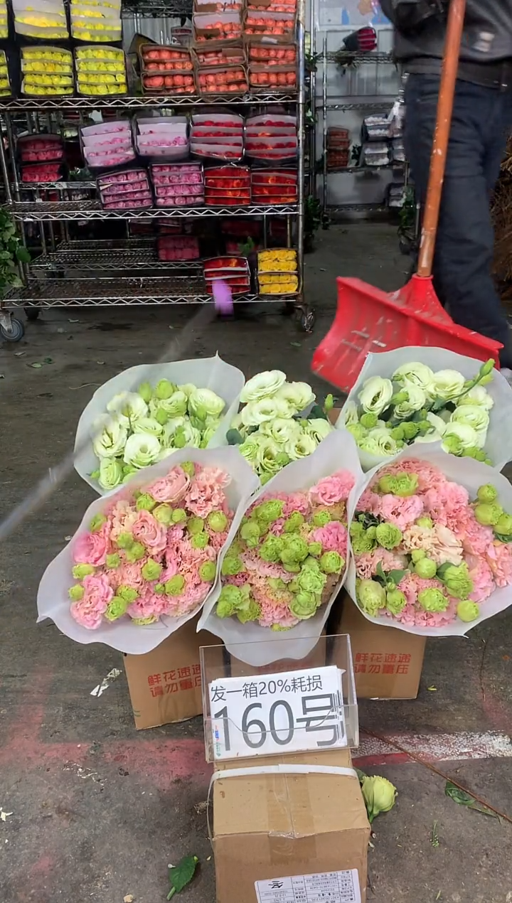 160号♥中通含20%耗损发一箱鲜花