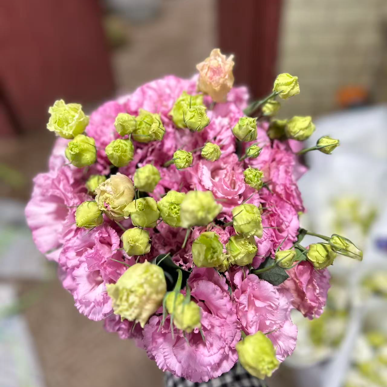 AB级波浪粉洋桔梗鲜花稀有新鲜顺丰包邮厦门同城批发福建次日达