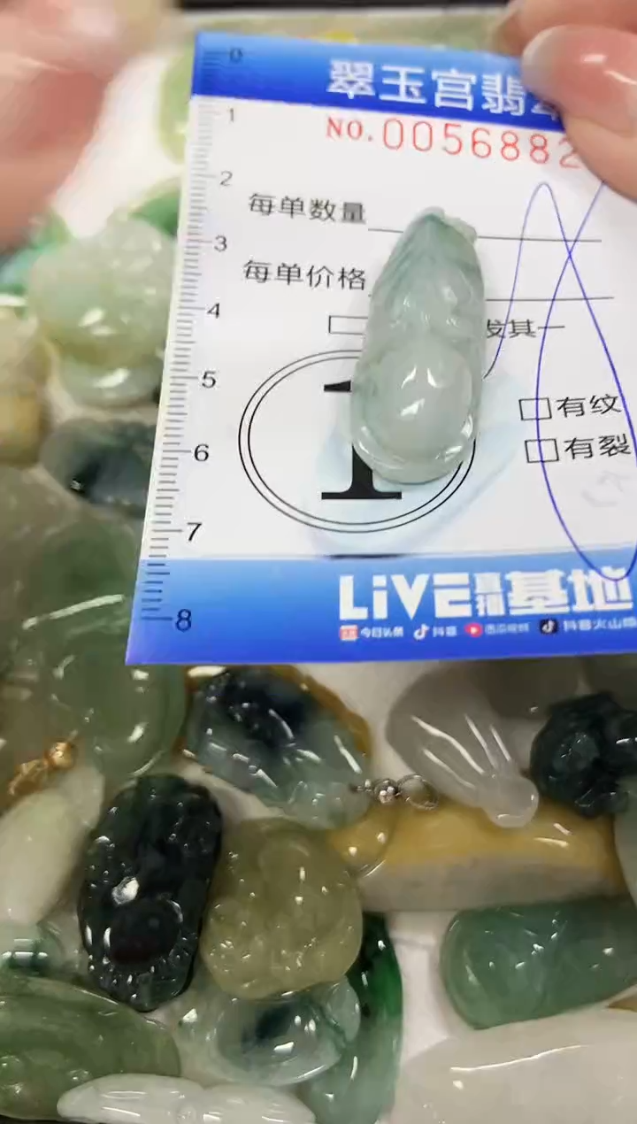 【闪购商品】翡翠颈饰未镶嵌闪购商品0056882