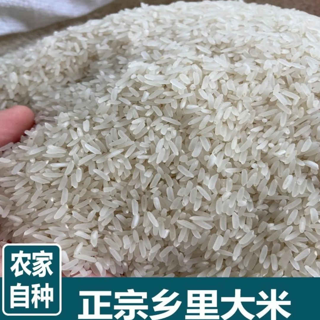 【老铁精选】湖南农家自种大米清香软糯适合煲仔饭炒饭