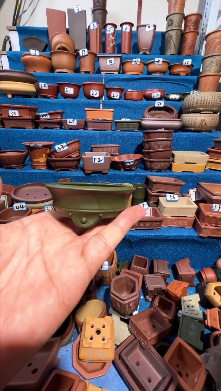 【闪购商品】紫砂紫砂花盆6.5*2