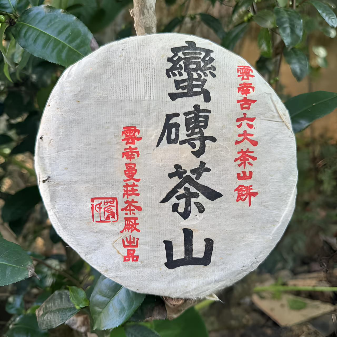 2004年 蛮砖古树 头春头采  普洱茶生茶 400g饼（带茶样）