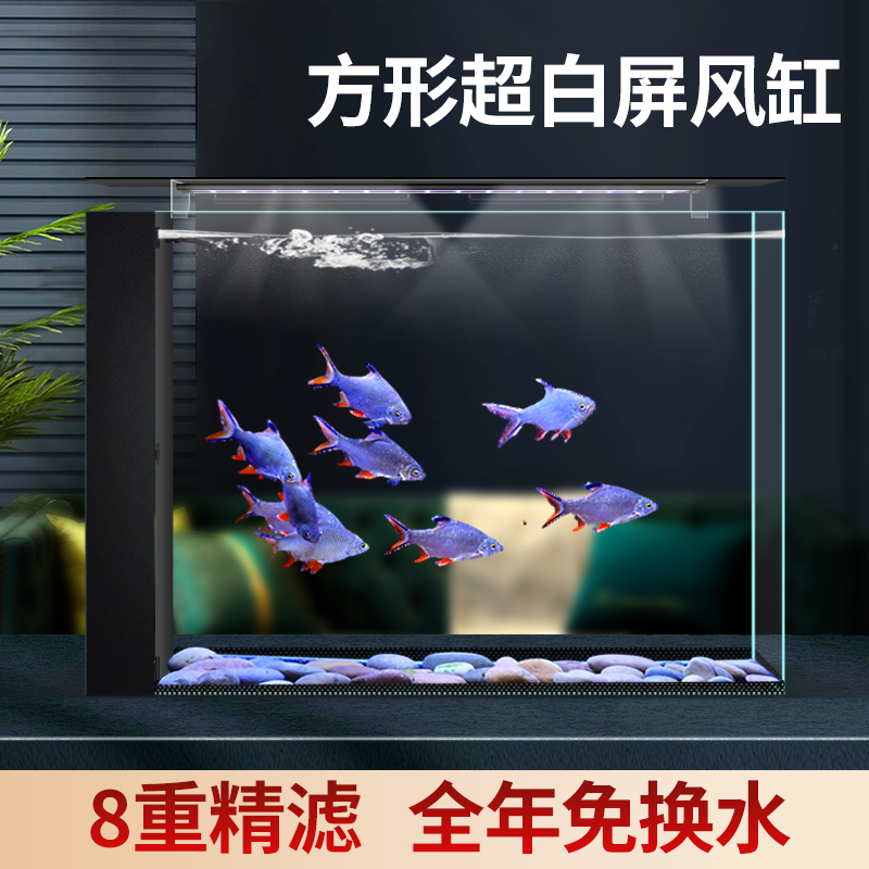 家用型客厅桌面生态超白玻璃鱼缸超白金晶五线免换水落地侧滤缸