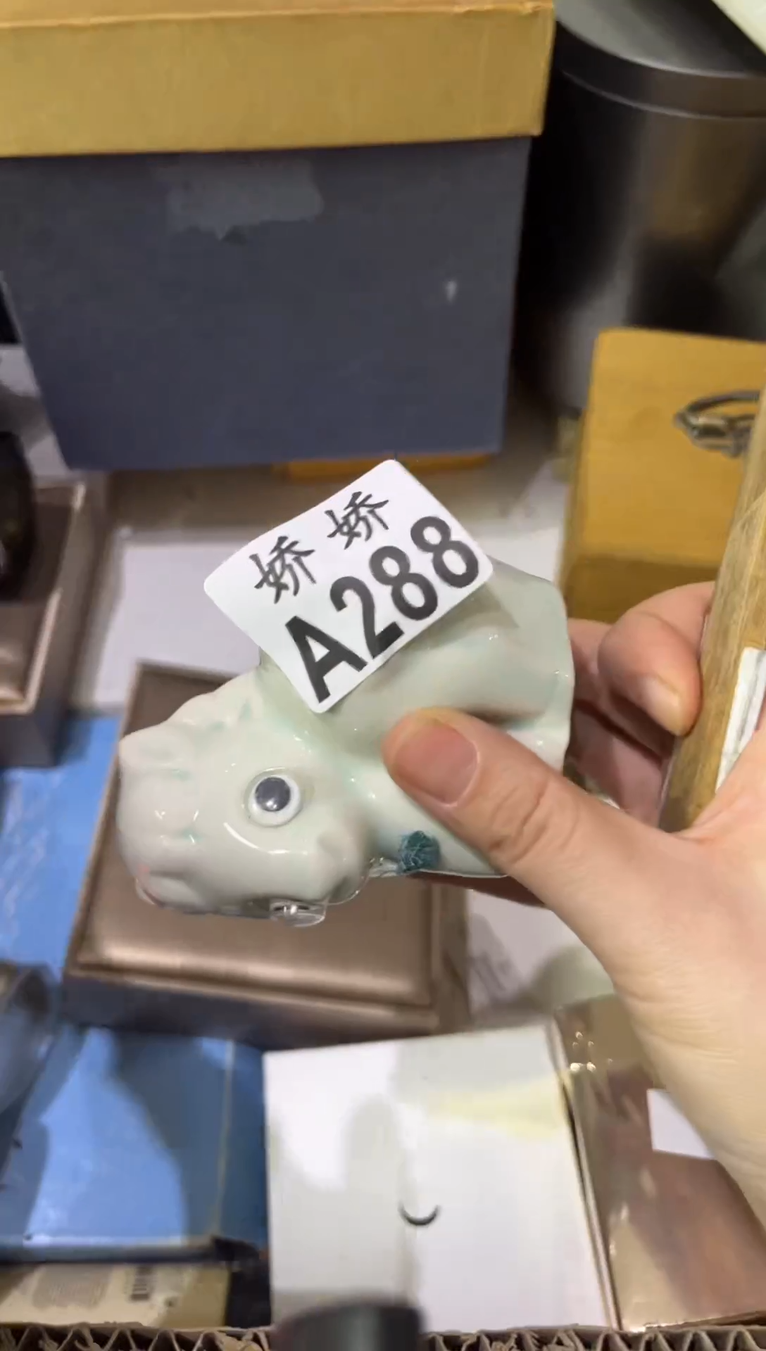 瓷片楊*洋288 楊杨洋  楊杨洋