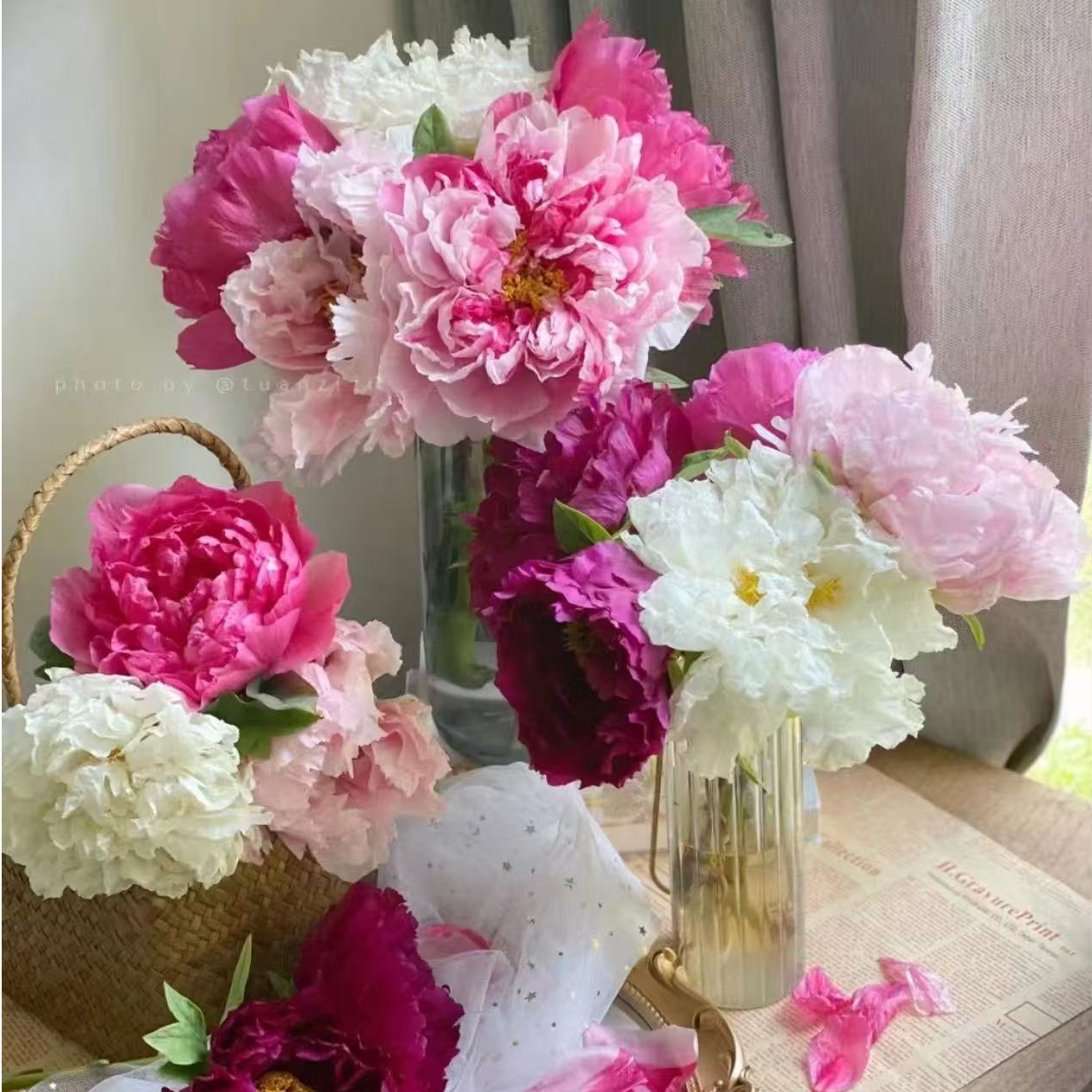 【现货】牡丹鲜切花重瓣室内鲜花花束山东大牡丹基地直发鲜花