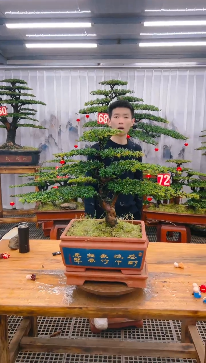 【闪购商品】紫砂精品盆景直播间一物一拍