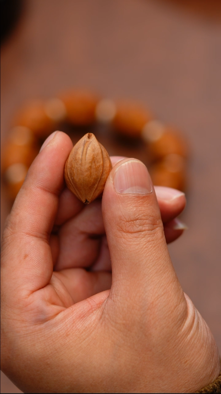 【闪购商品】橄榄核手串/手链殷派18罗汉手持