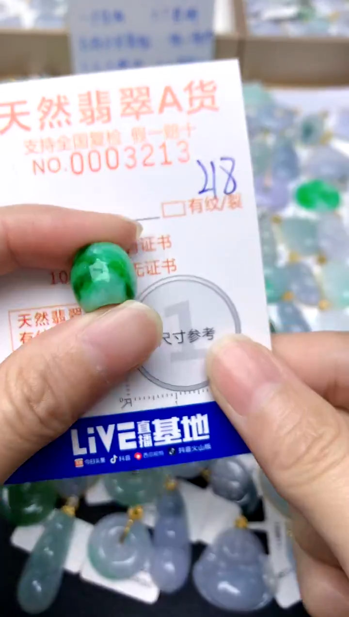 【闪购商品】翡翠颈饰未镶嵌218天然A货翡翠