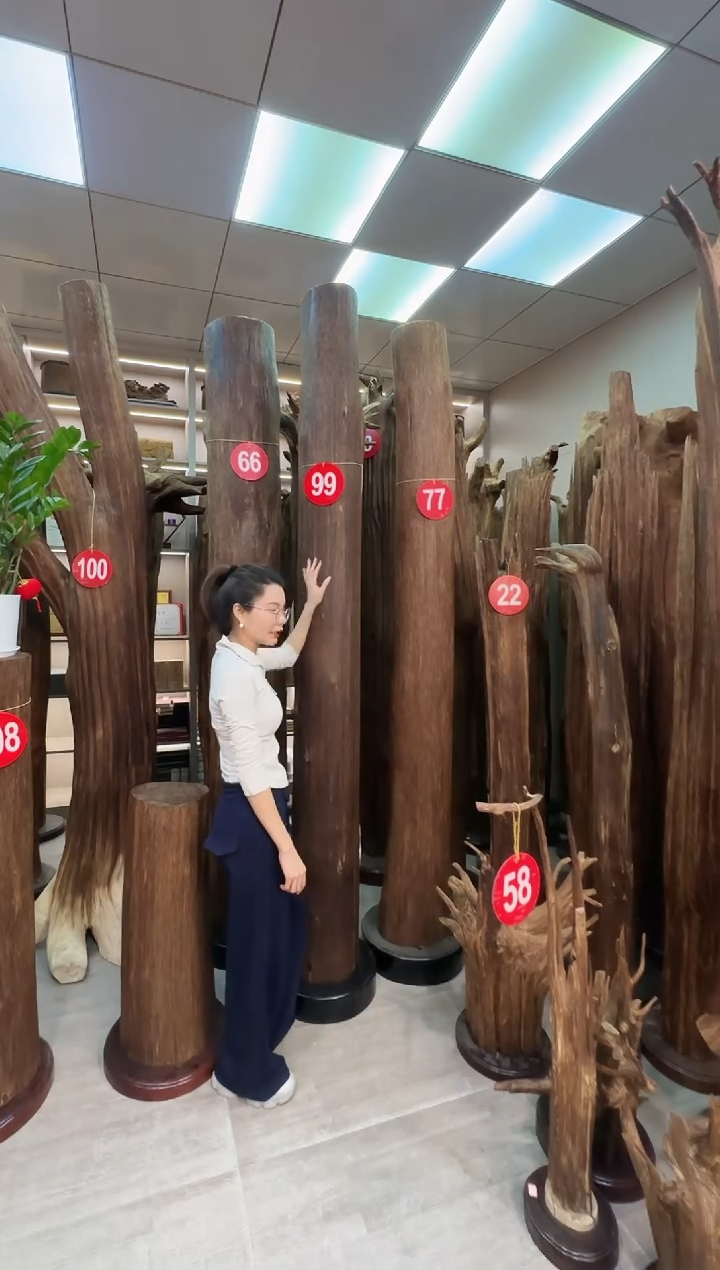 沉香沉香枕脉**动沉香原料 七天无理由