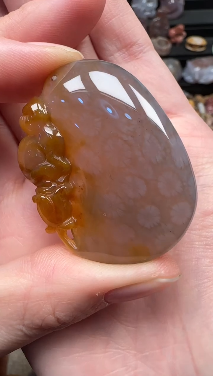 颈饰未镶嵌硅化珊瑚（珊瑚玉）133