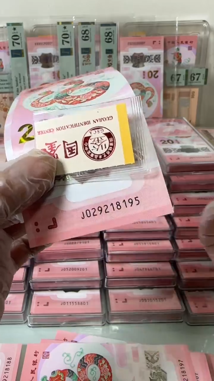 【闪购商品】塑料029218195-蛇钞单张！