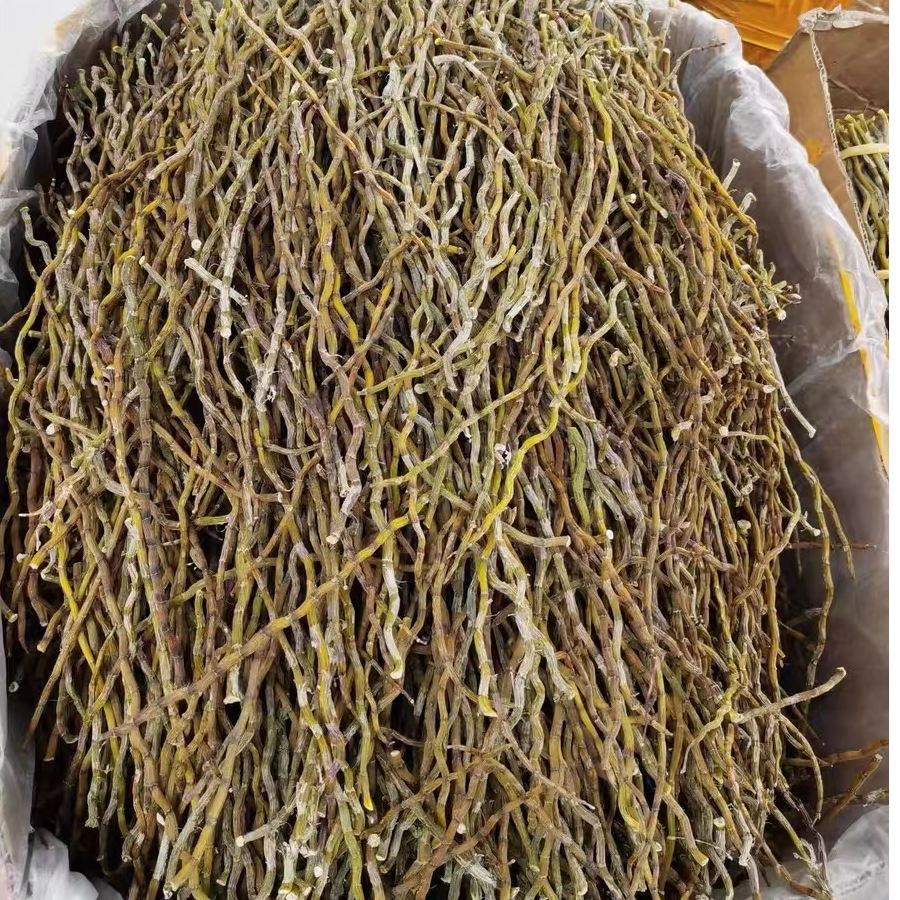 【助农山货】1铁皮石斛条精选石斛条满满胶质无渣