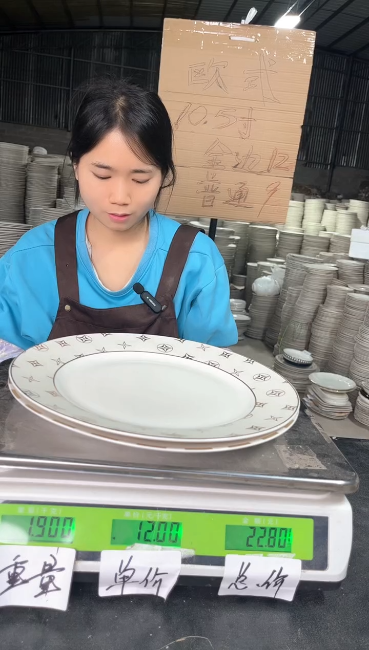 【闪购商品】搪瓷Z801  10.5寸  2个