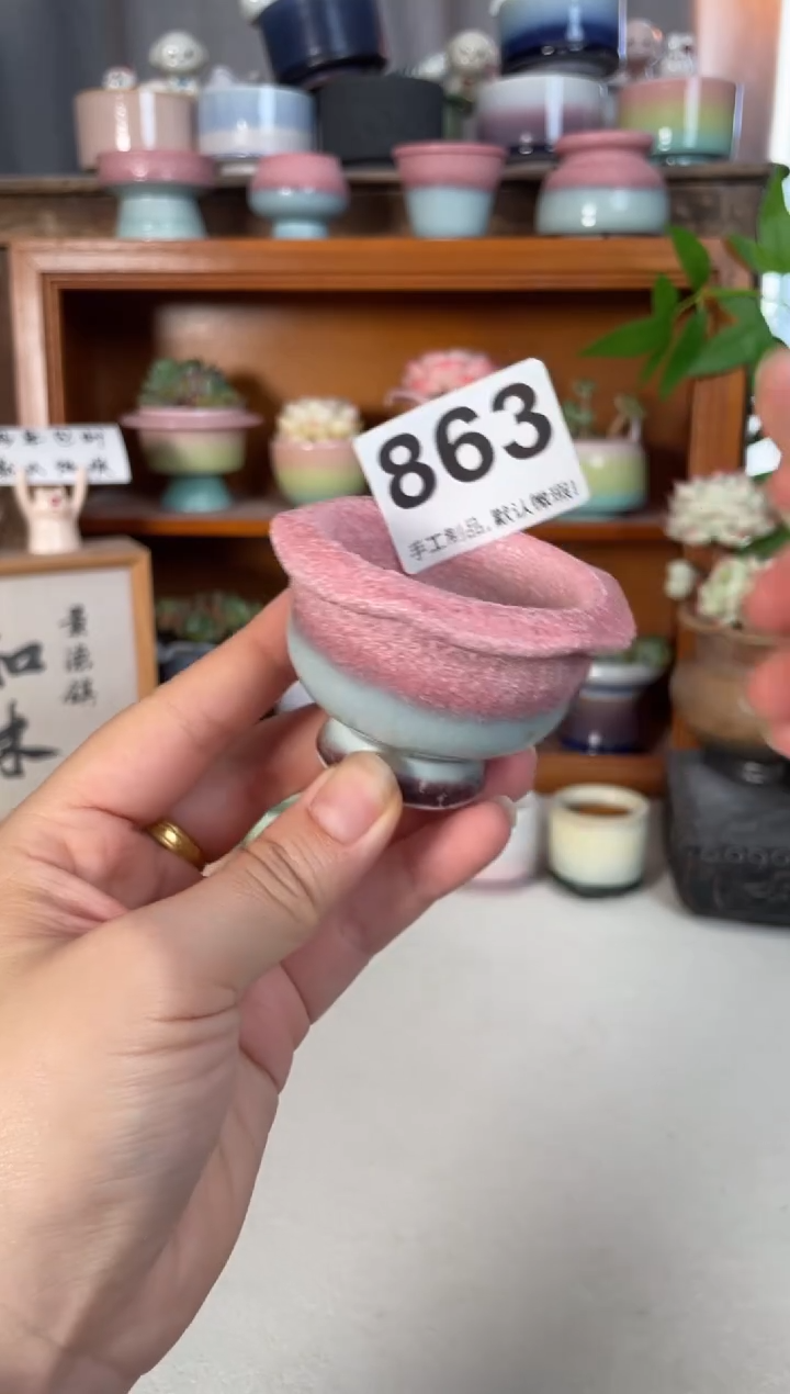 瓷片863知木小芳花盆