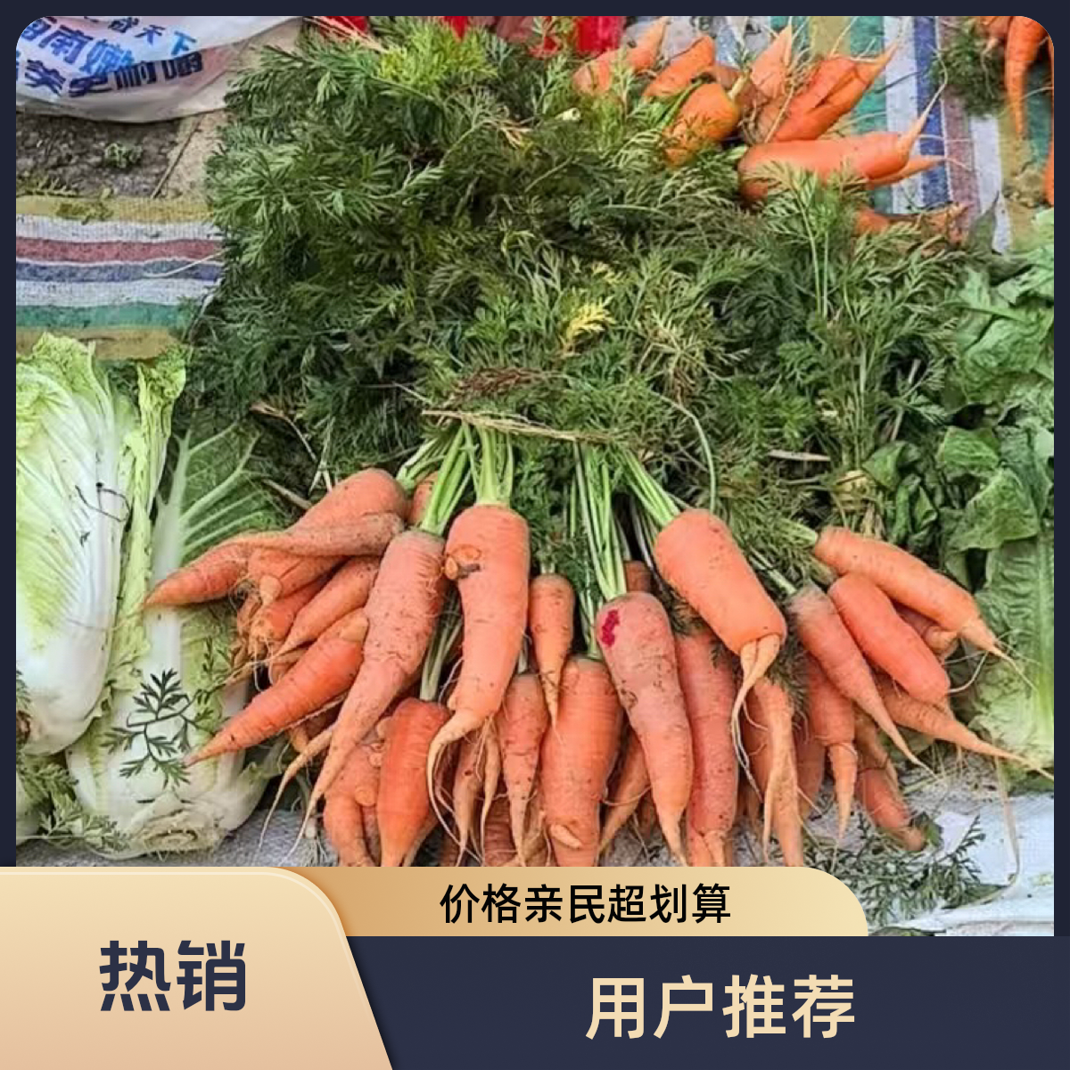 本地新鲜胡萝卜500g