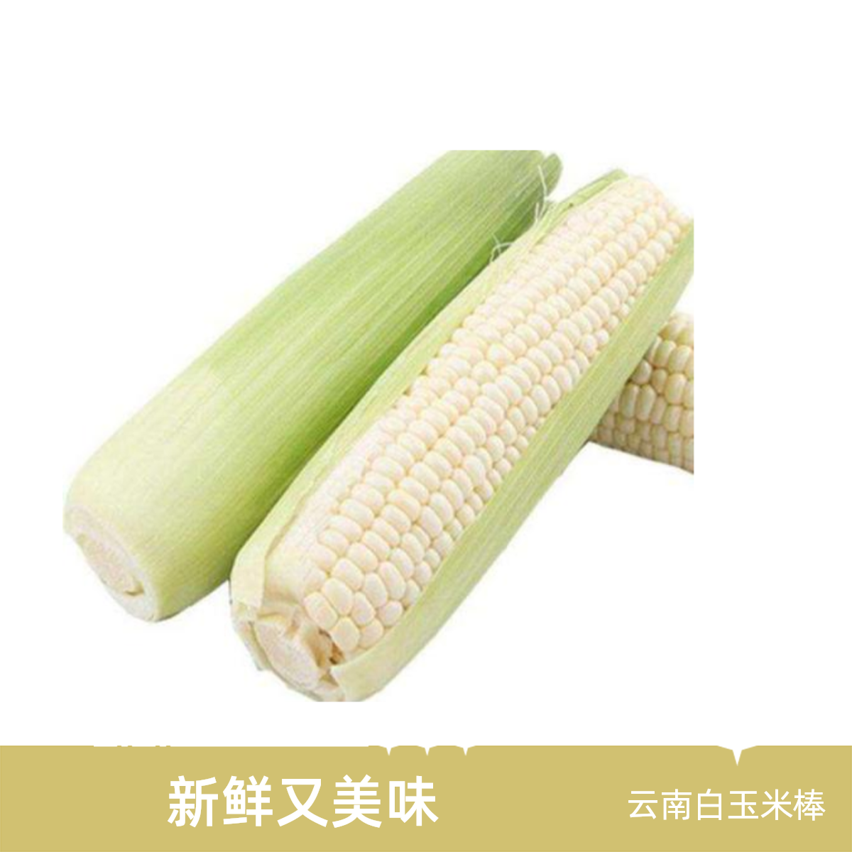 新鲜白玉米1棒约0.6-0.8斤/棒