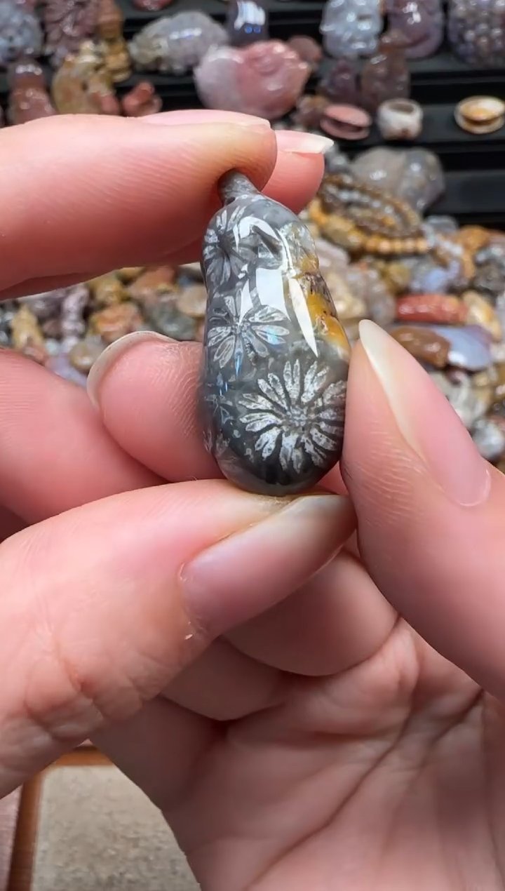 颈饰未镶嵌硅化珊瑚（珊瑚玉）090