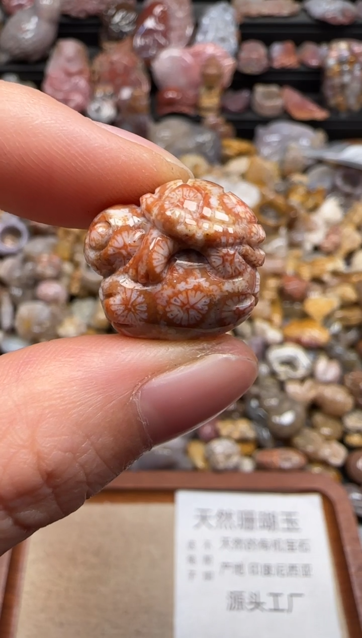 【闪购商品】硅化珊瑚（珊瑚玉）颈饰未镶嵌058