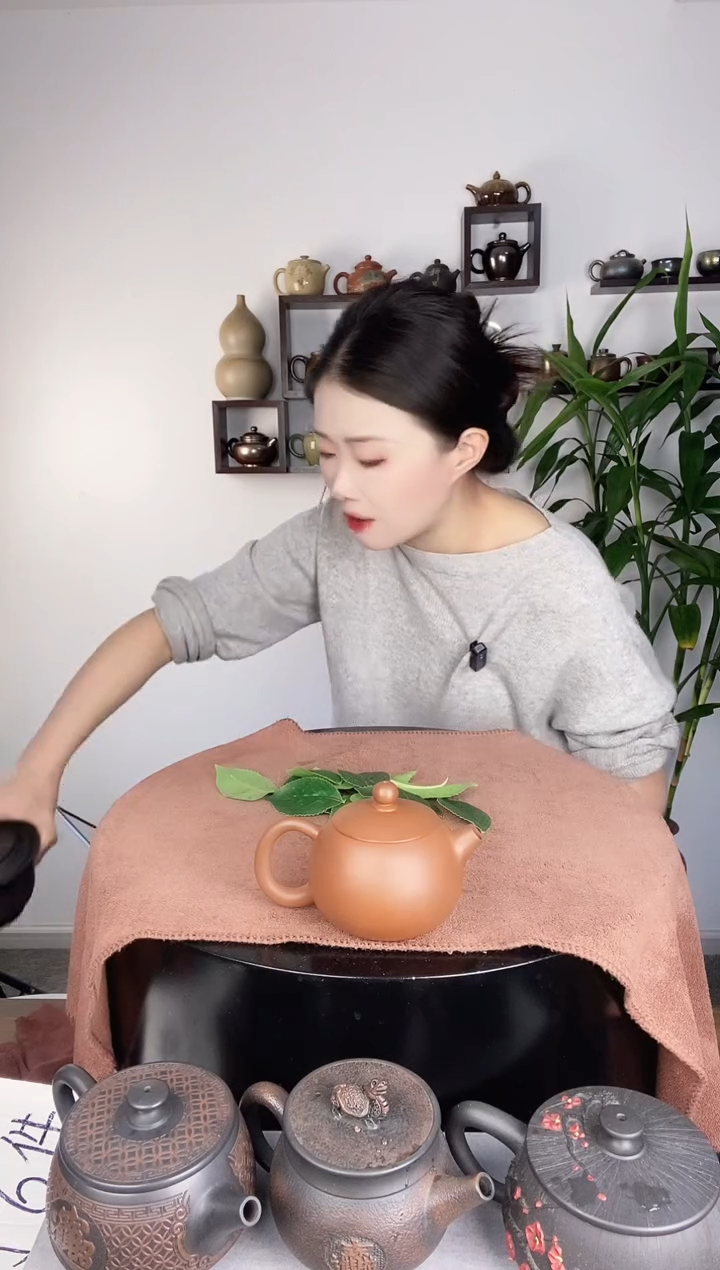 【闪购商品】壶复烧西施米级出水160cc