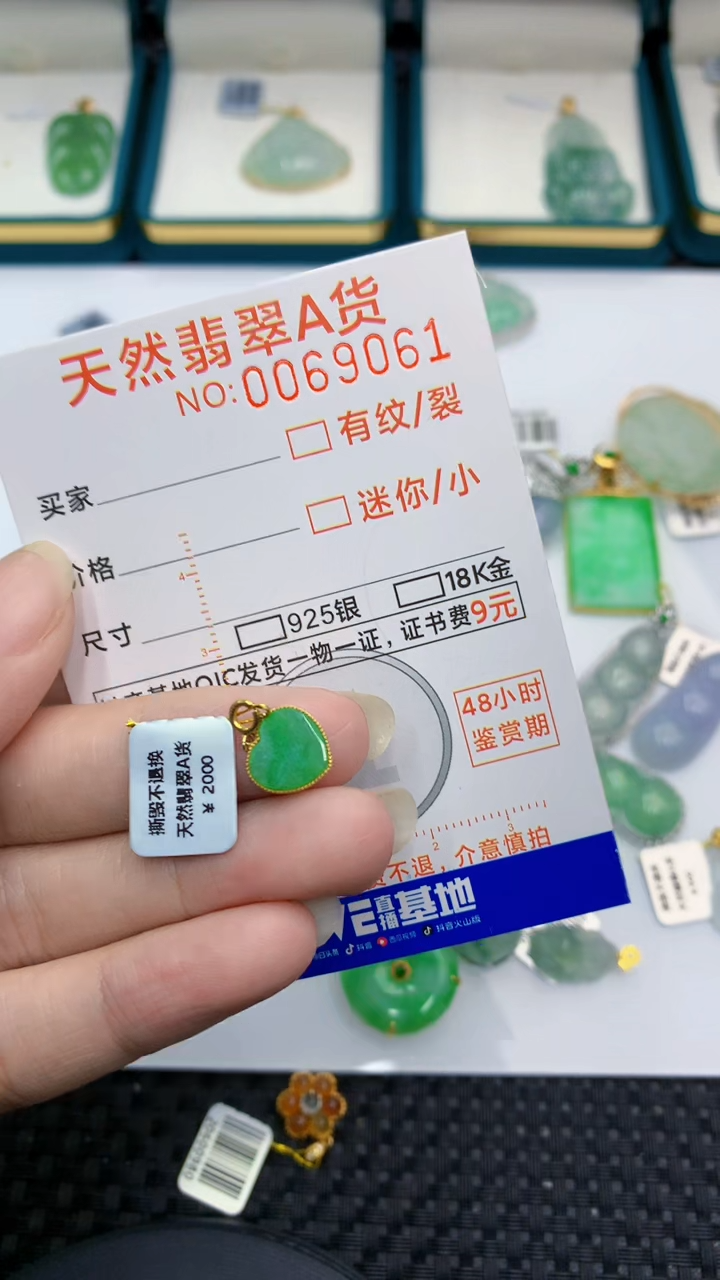 【闪购商品】翡翠颈饰18K金镶嵌            8