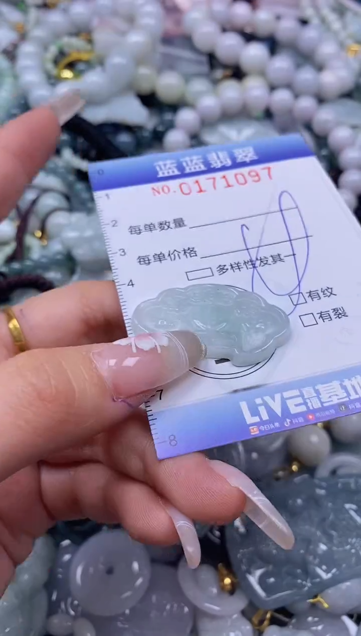 【闪购商品】翡翠颈饰未镶嵌闪购0171097