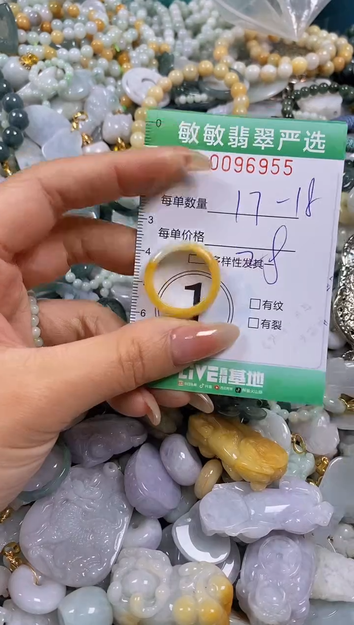 【闪购商品】翡翠颈饰未镶嵌闪购0096955