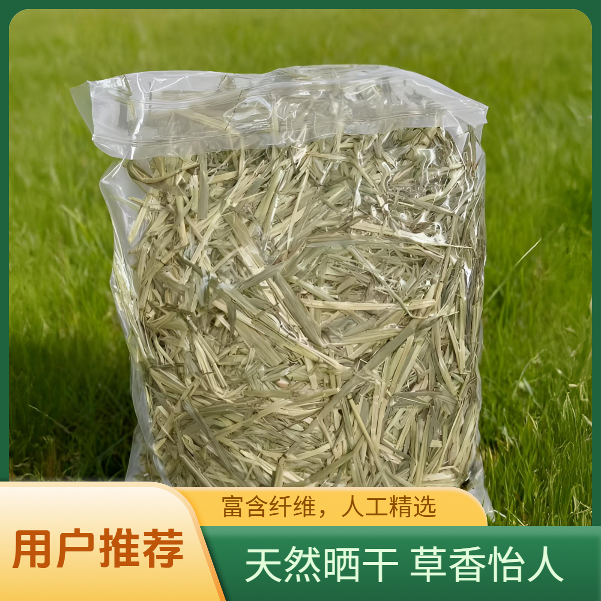 双十一精挑晒干国产燕麦草高纤维宠物兔子龙猫荷兰猪专用磨牙牧草