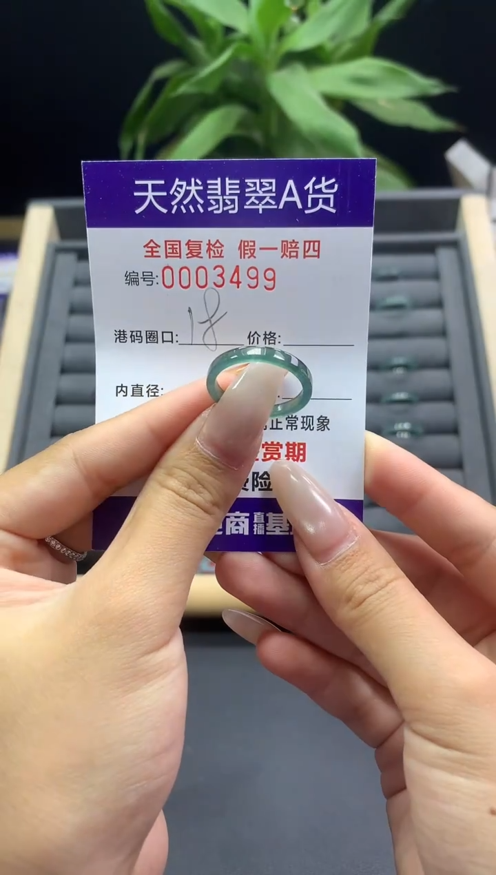 未镶嵌戒指翡翠天然  3499