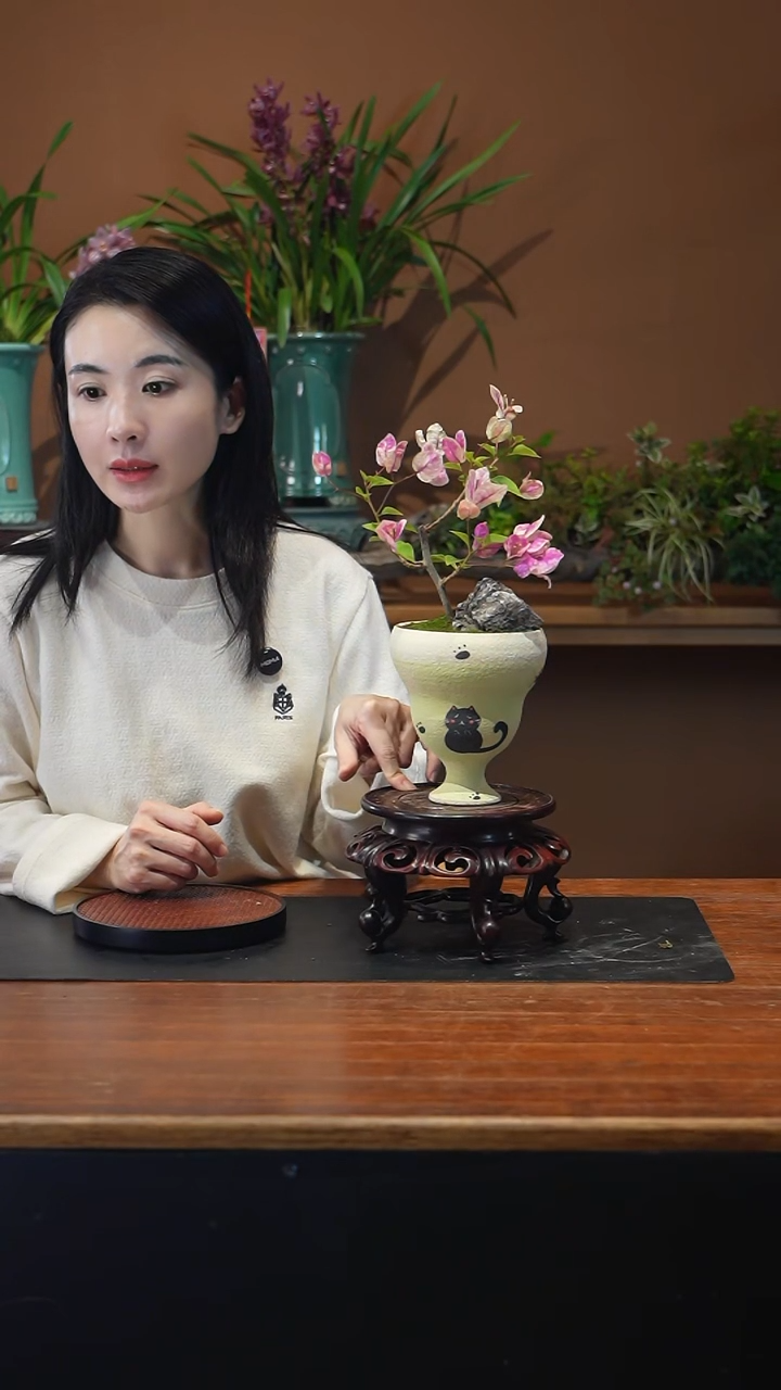 全部花朵三盆景盆景盆景